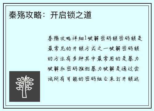 秦殇攻略：开启锁之道